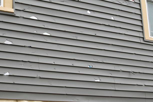 Best Siding Replacement  in Ruskin, FL